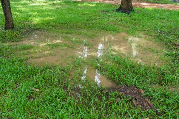 Storm Water Drainage Service in Elyria