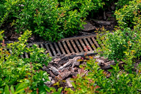 Underground Drainage Service in Elyria
