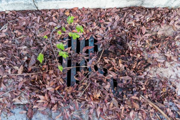 Yard Drain Unclogging in Elyria