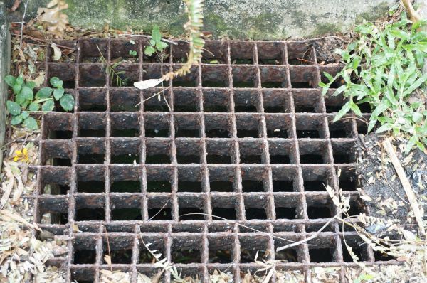 Yard Drain Cleaning in Elyria