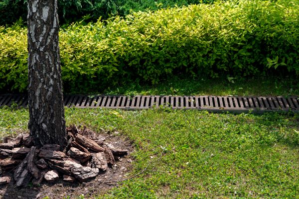 Garden Drainage Installation in Elyria