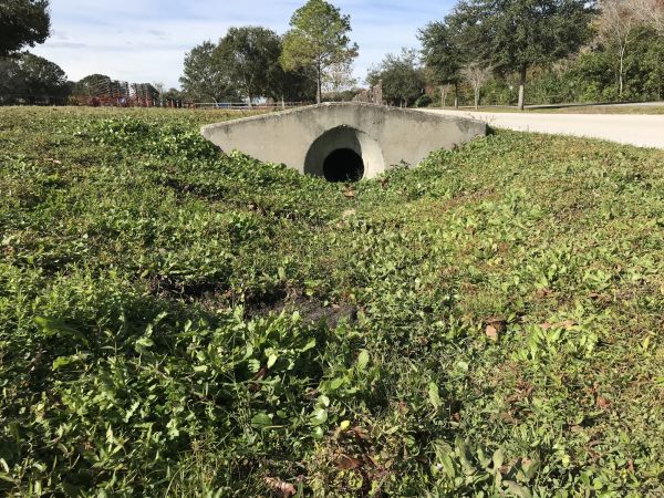 Cost of Swale Drainage Service in Elyria